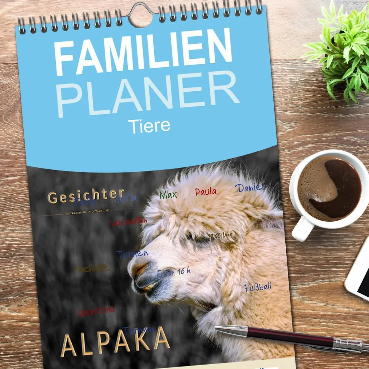 Bild: 9783516517095 | Familienplaner 2026 - Alpaka Gesichter mit 5 Spalten (Wandkalender,...