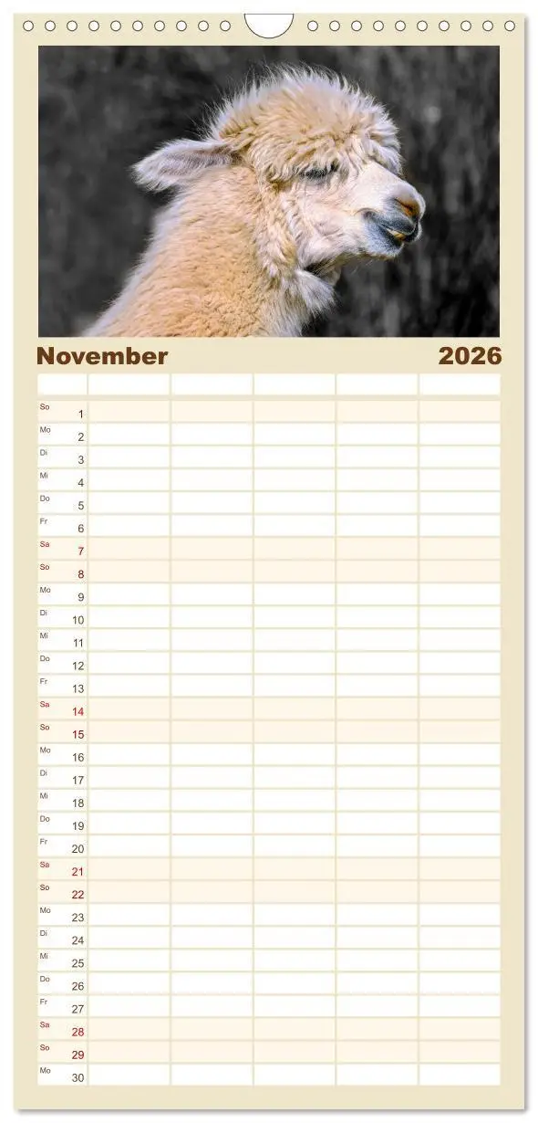 Bild: 9783516517095 | Familienplaner 2026 - Alpaka Gesichter mit 5 Spalten (Wandkalender,...
