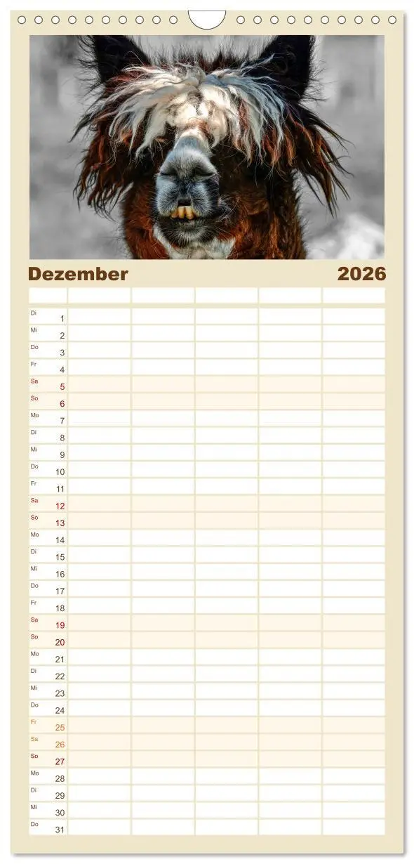 Bild: 9783516517095 | Familienplaner 2026 - Alpaka Gesichter mit 5 Spalten (Wandkalender,...