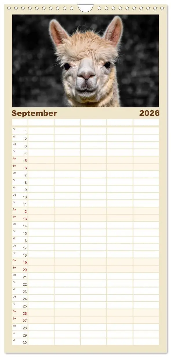 Bild: 9783516517095 | Familienplaner 2026 - Alpaka Gesichter mit 5 Spalten (Wandkalender,...