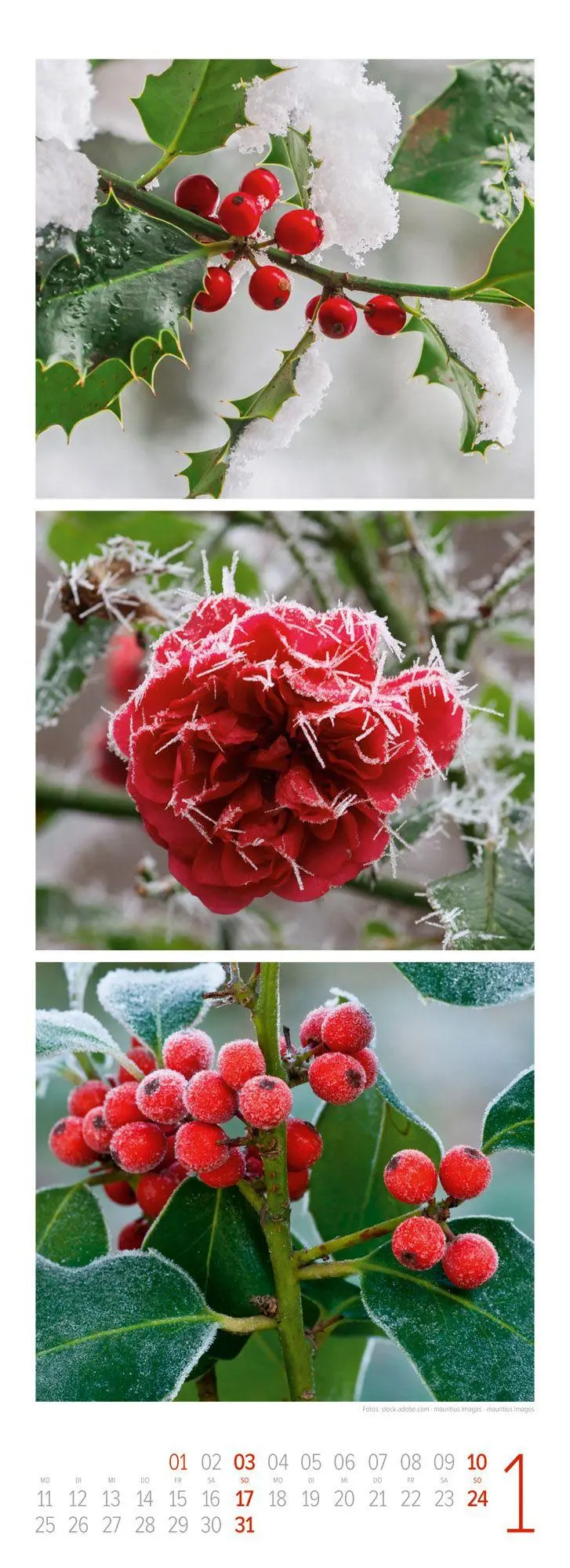 Bild: 9783838437095 | NaturZeit Triplet-Kalender 2027 | Ackermann Kunstverlag GmbH | 14 S.