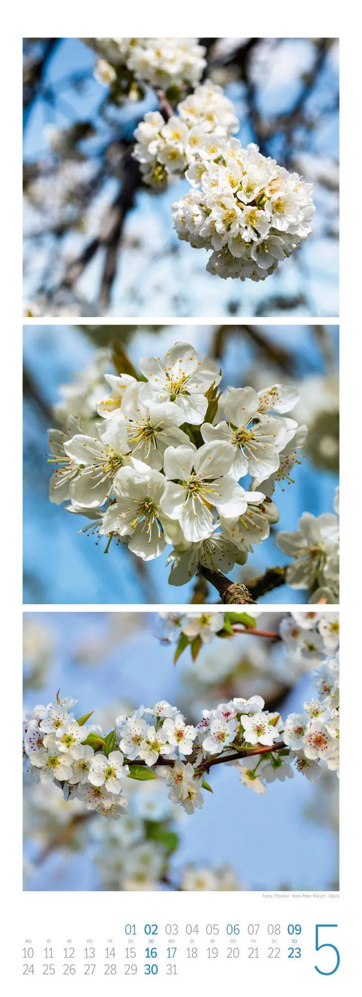 Bild: 9783838437095 | NaturZeit Triplet-Kalender 2027 | Ackermann Kunstverlag GmbH | 14 S.