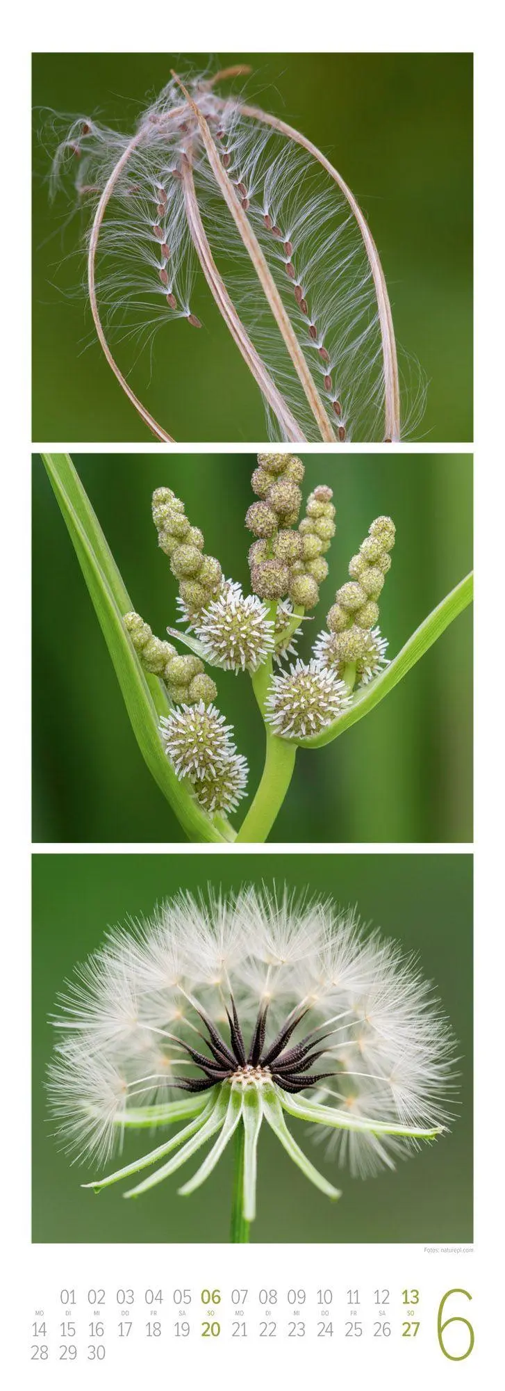 Bild: 9783838437095 | NaturZeit Triplet-Kalender 2027 | Ackermann Kunstverlag GmbH | 14 S.