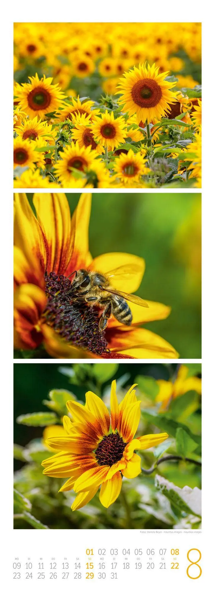 Bild: 9783838437095 | NaturZeit Triplet-Kalender 2027 | Ackermann Kunstverlag GmbH | 14 S.