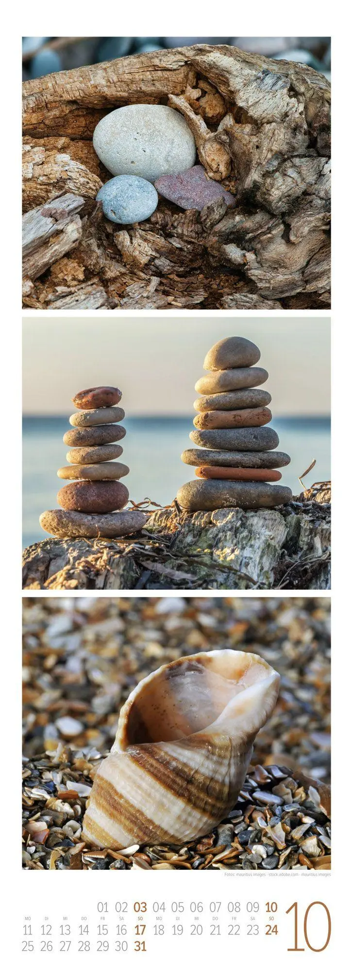 Bild: 9783838437095 | NaturZeit Triplet-Kalender 2027 | Ackermann Kunstverlag GmbH | 14 S.