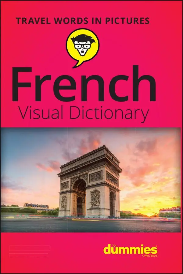 Cover: 9781119717195 | French Visual Dictionary for Dummies | The Experts at Dummies | Buch