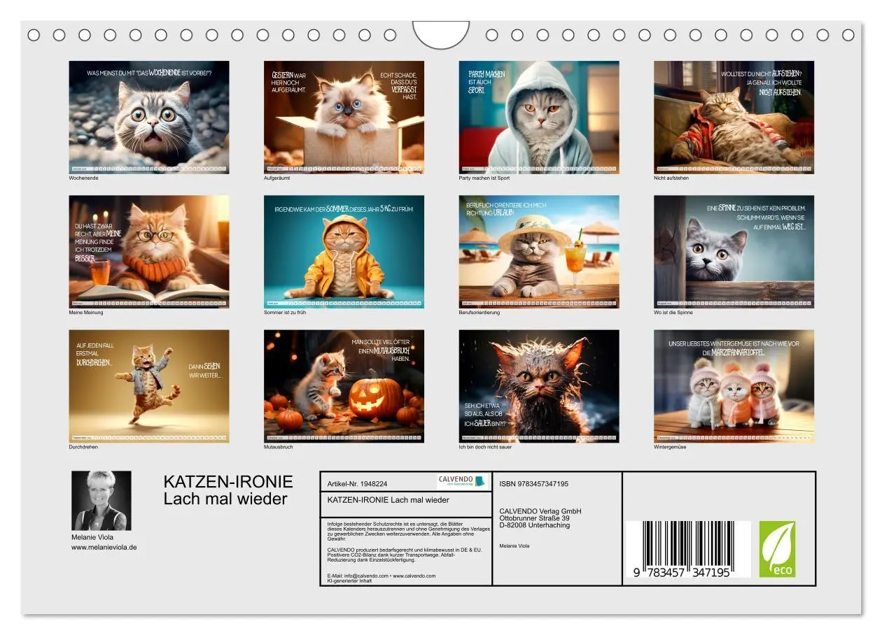 Bild: 9783457347195 | KATZEN-IRONIE Lach mal wieder (Wandkalender 2026 DIN A4 quer),...