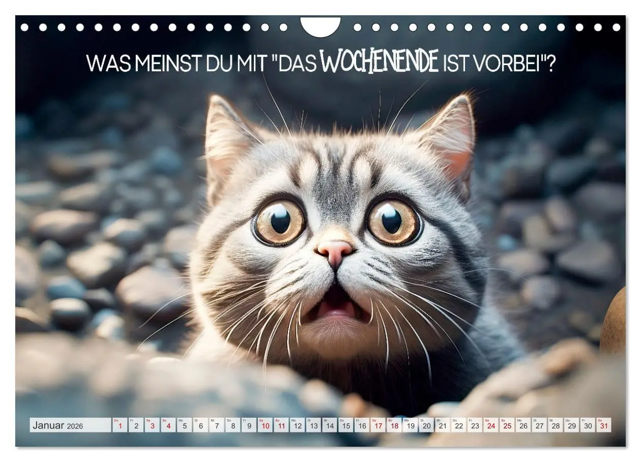 Bild: 9783457347195 | KATZEN-IRONIE Lach mal wieder (Wandkalender 2026 DIN A4 quer),...