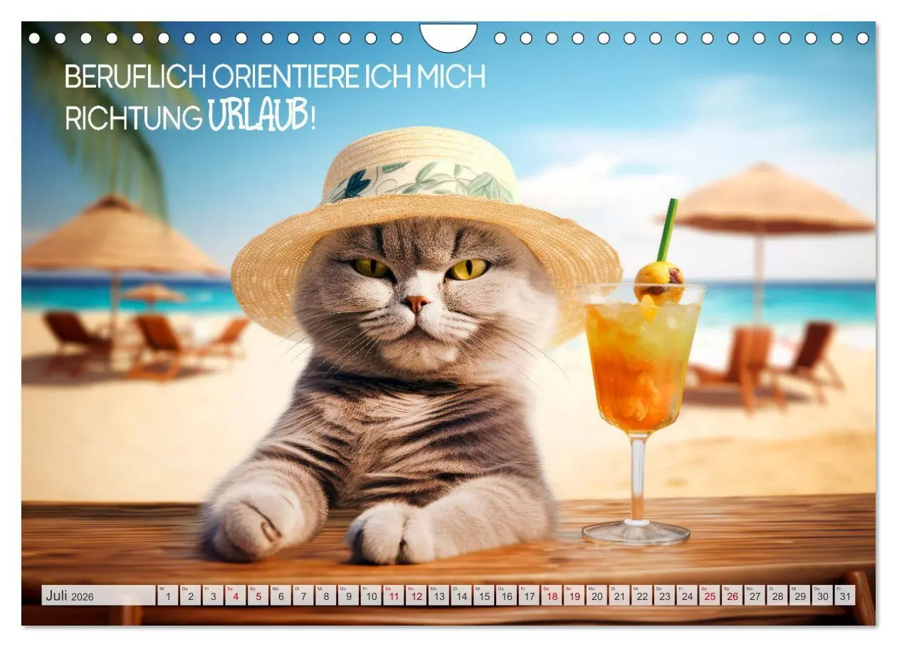 Bild: 9783457347195 | KATZEN-IRONIE Lach mal wieder (Wandkalender 2026 DIN A4 quer),...