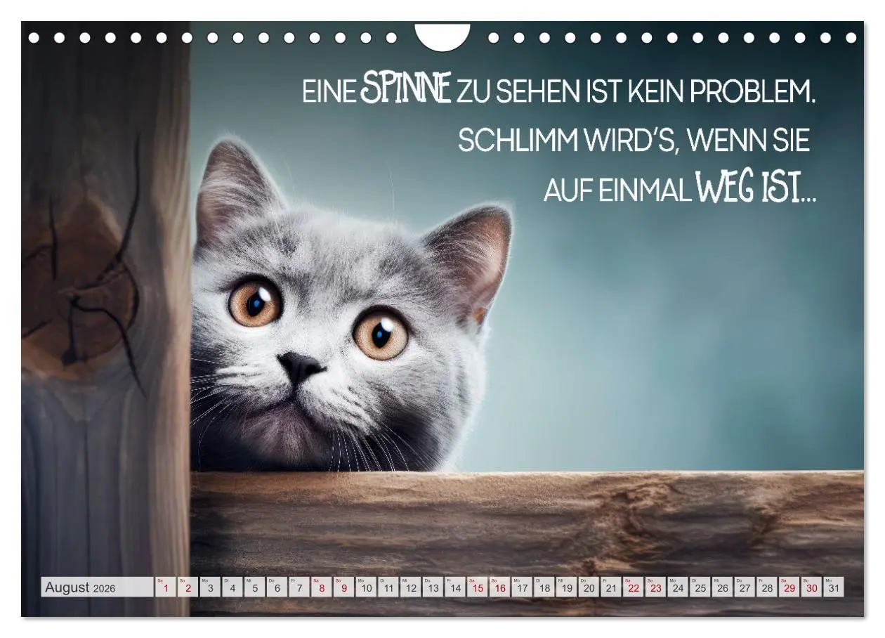 Bild: 9783457347195 | KATZEN-IRONIE Lach mal wieder (Wandkalender 2026 DIN A4 quer),...