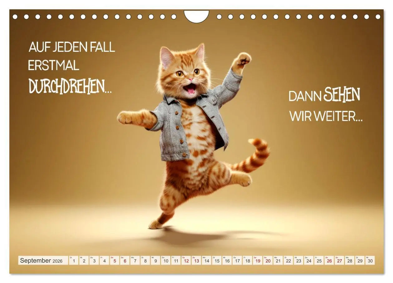 Bild: 9783457347195 | KATZEN-IRONIE Lach mal wieder (Wandkalender 2026 DIN A4 quer),...
