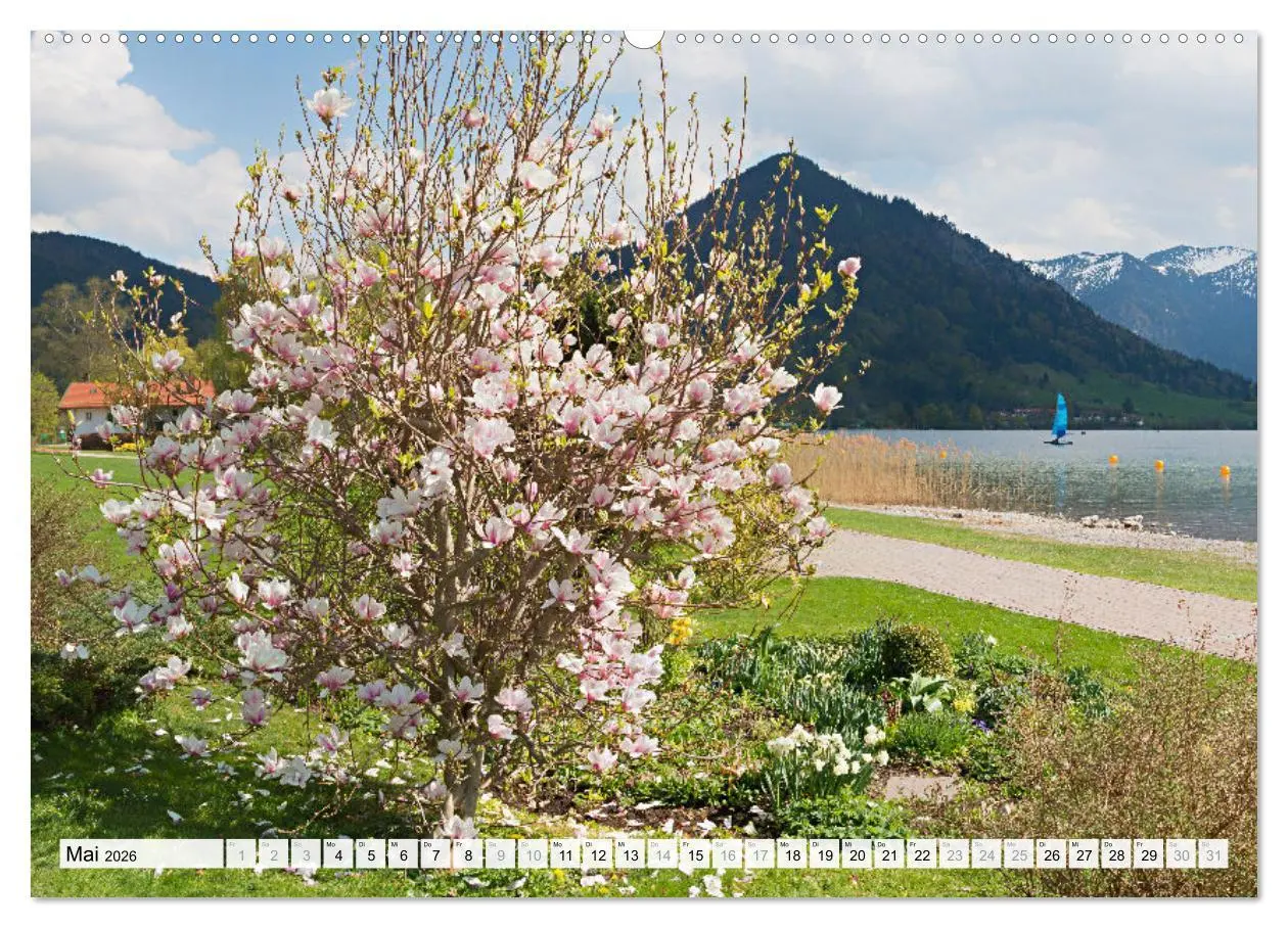 Bild: 9783457267295 | Schliersee-Idylle (hochwertiger Premium Wandkalender 2026 DIN A2...