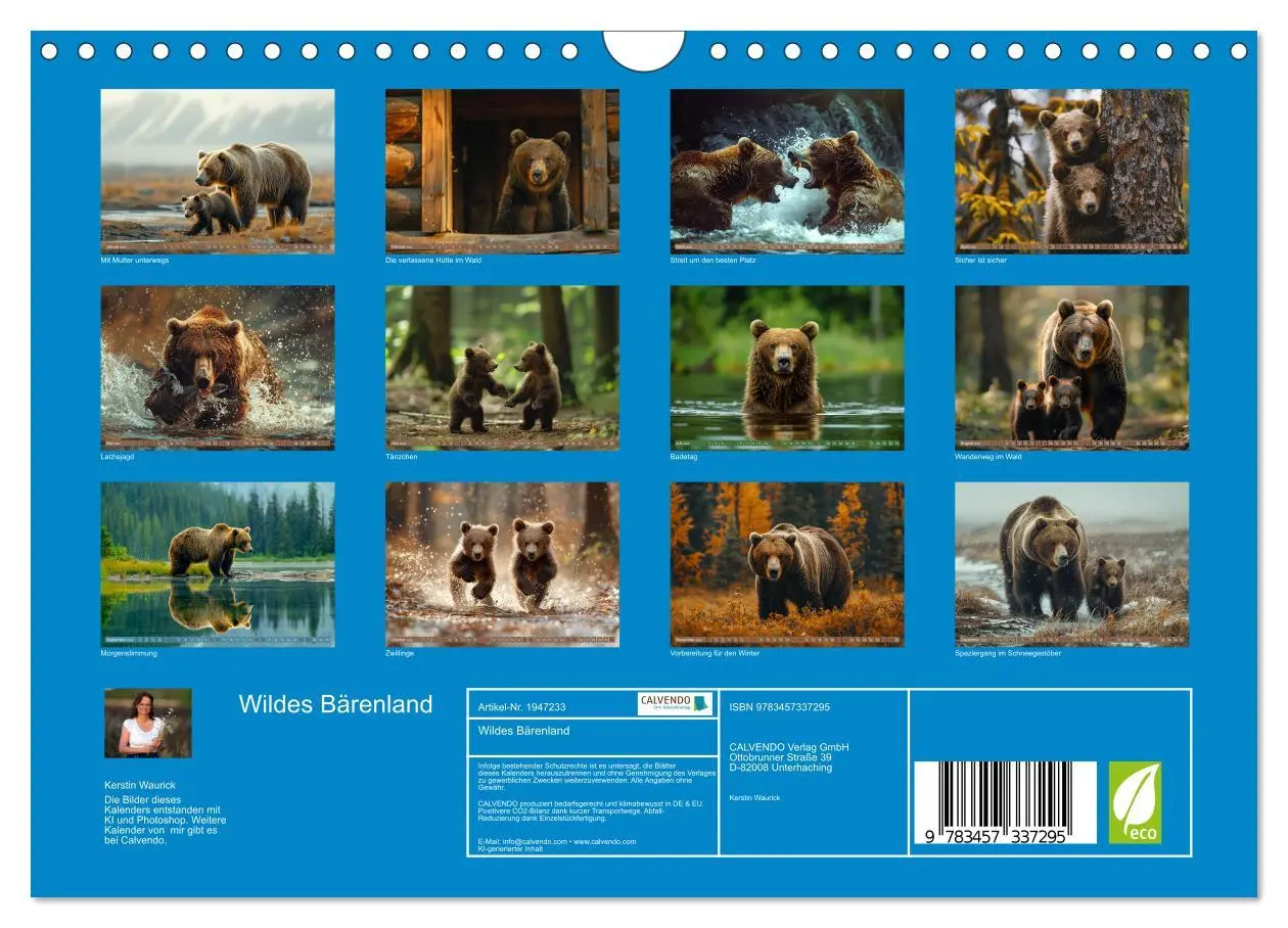 Bild: 9783457337295 | Wildes Bärenland (Wandkalender 2026 DIN A4 quer), CALVENDO...