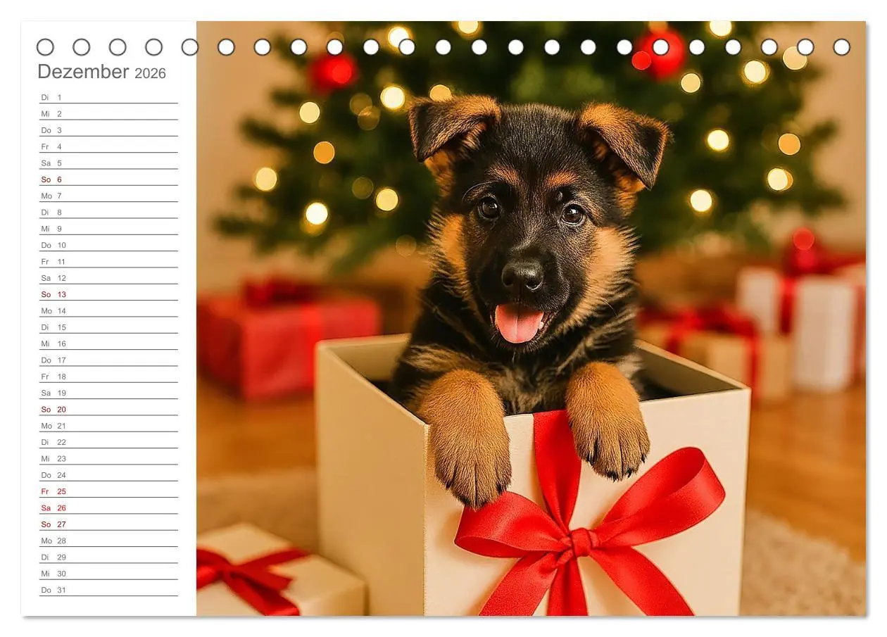 Bild: 9783457647295 | Schäferhundliebe - Deine tägliche Dosis Welpenfreude - ganz ohne...