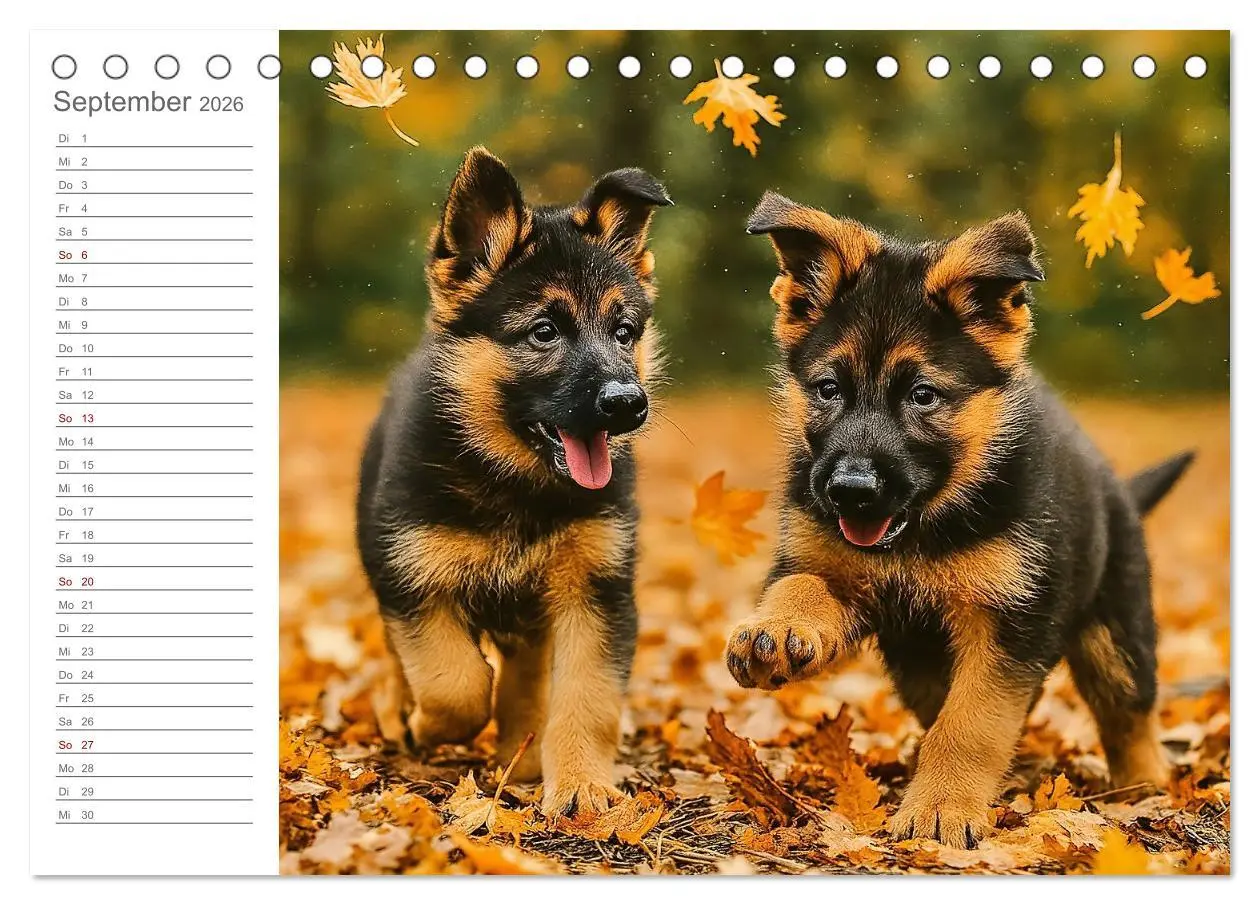 Bild: 9783457647295 | Schäferhundliebe - Deine tägliche Dosis Welpenfreude - ganz ohne...