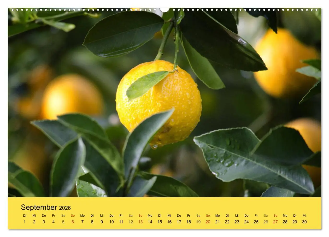 Bild: 9783457717295 | Gibt das Leben dir Zitronen, frag nach Zucker und Gewürzen!...