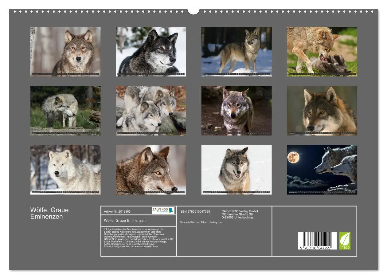 Bild: 9783516047295 | Wölfe. Graue Eminenzen (hochwertiger Premium Wandkalender 2026 DIN...