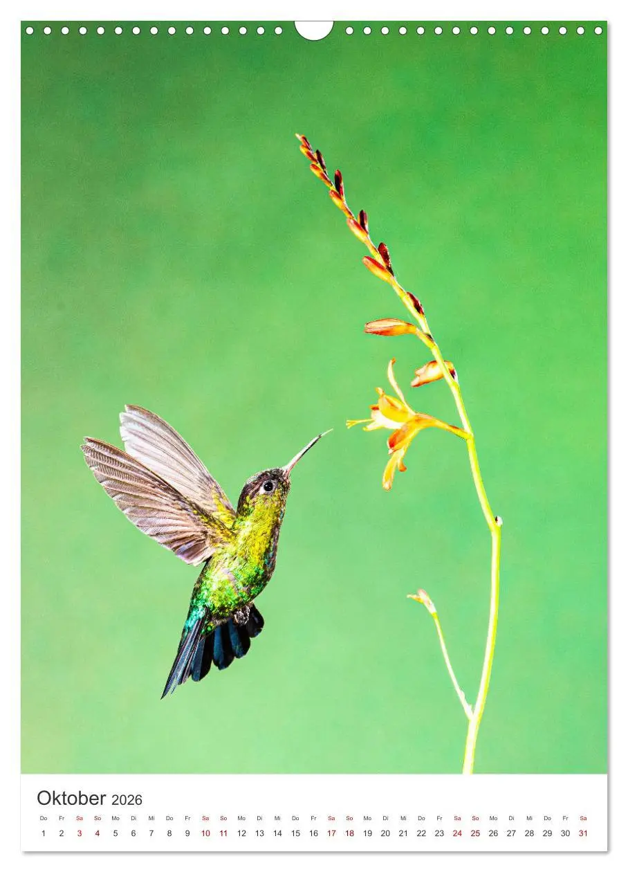 Bild: 9783516357295 | Faszination Costa Rica (Wandkalender 2026 DIN A3 hoch), CALVENDO...