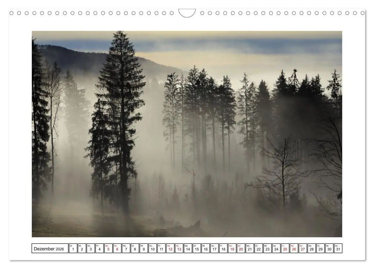 Bild: 9783516667295 | Ein Glücksfall für die Natur- Nationalpark Bayerischer Wald...