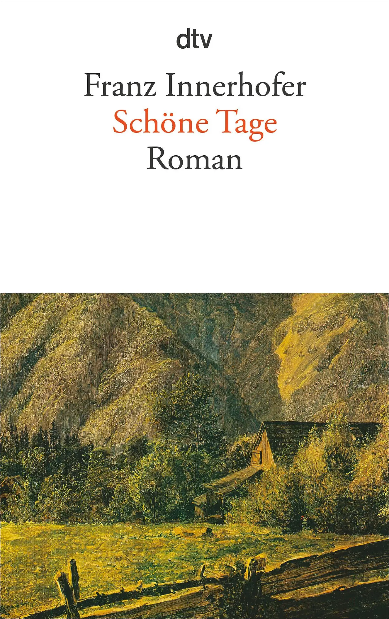 Cover: 9783423117395 | Schöne Tage | Franz Innerhofer | Taschenbuch | 215 S. | Deutsch | 1993