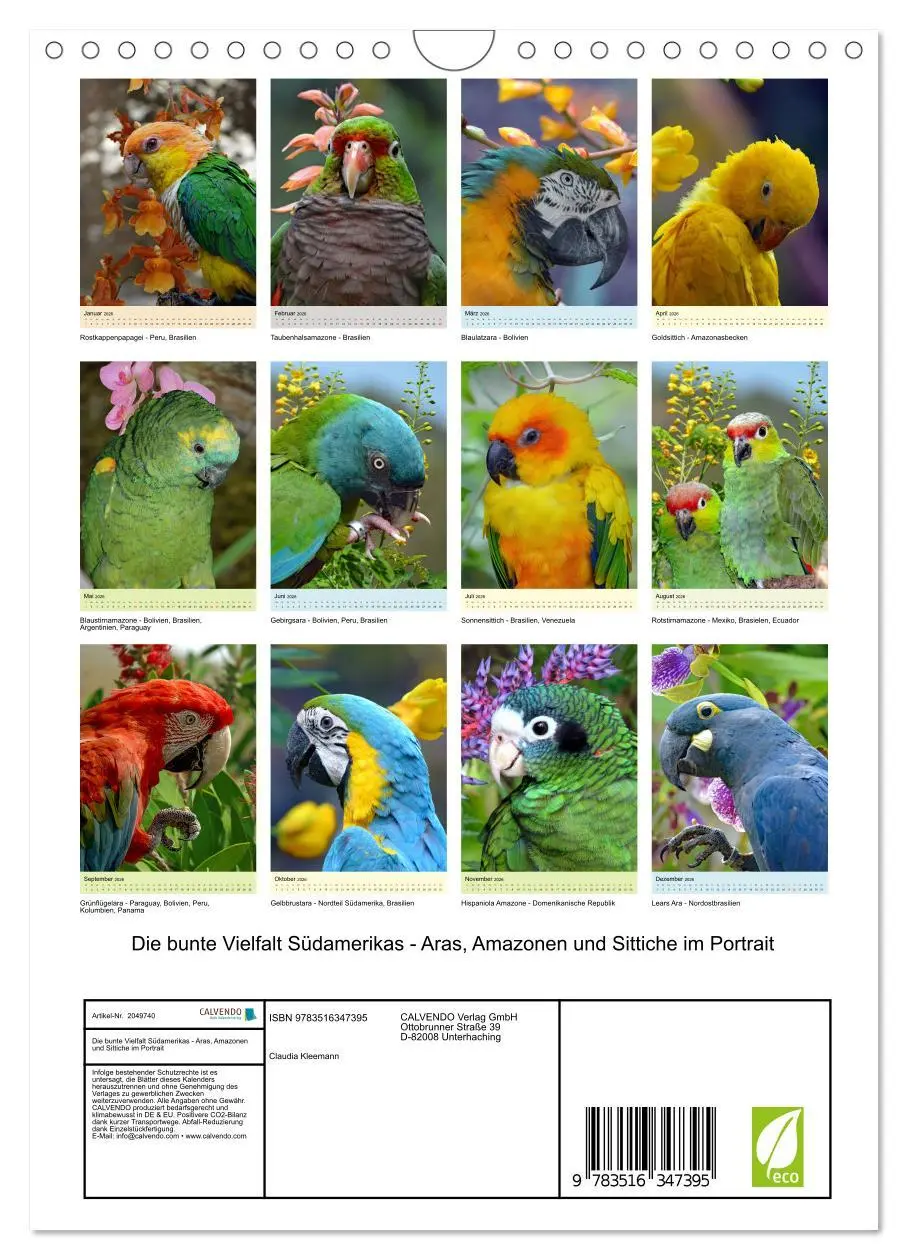 Bild: 9783516347395 | Die bunte Vielfalt Südamerikas - Aras, Amazonen und Sittiche im...