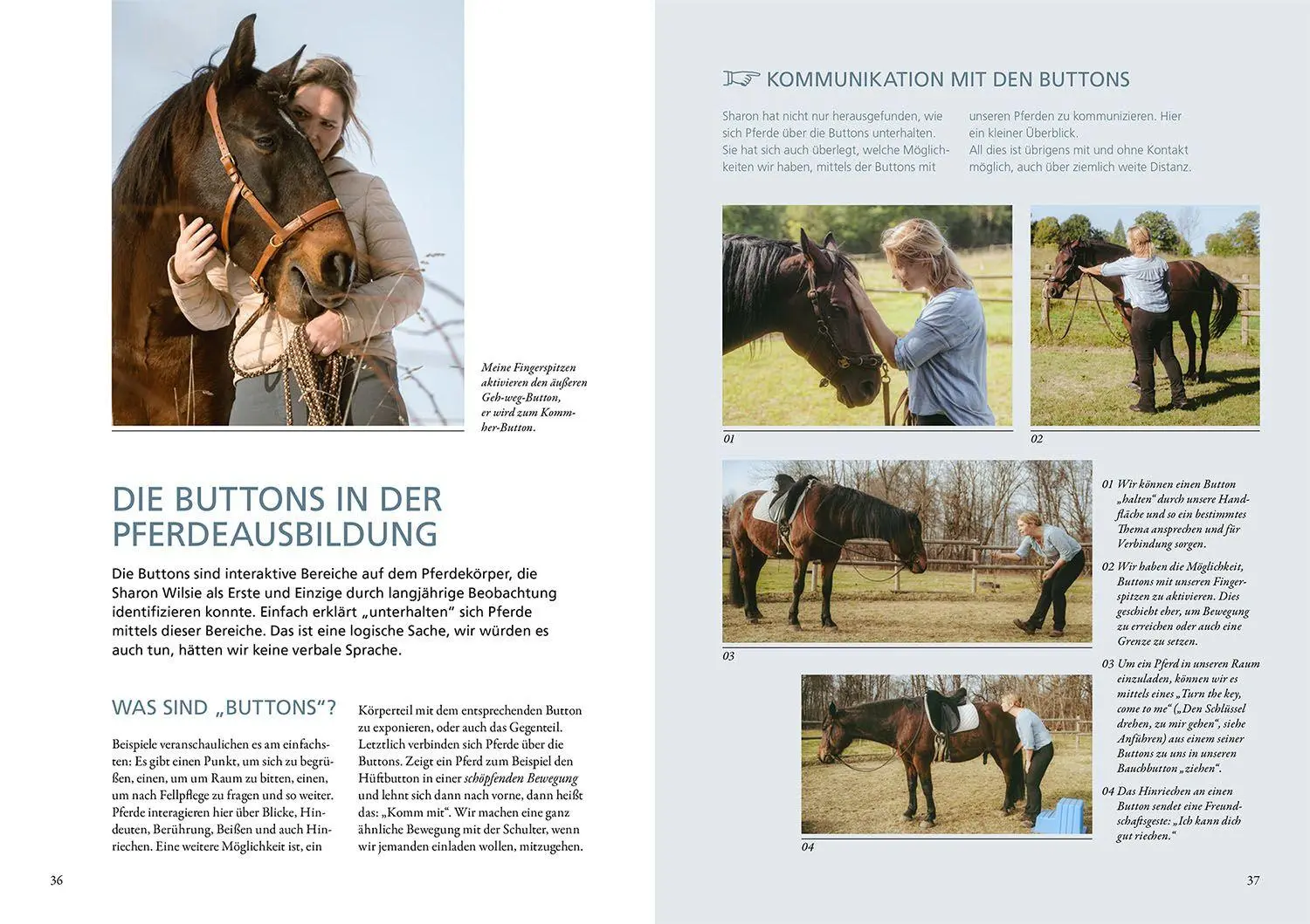 Bild: 9783440177495 | Horse Speak - Die Basis für feines Reiten | Kirsti Ludwig (u. a.)