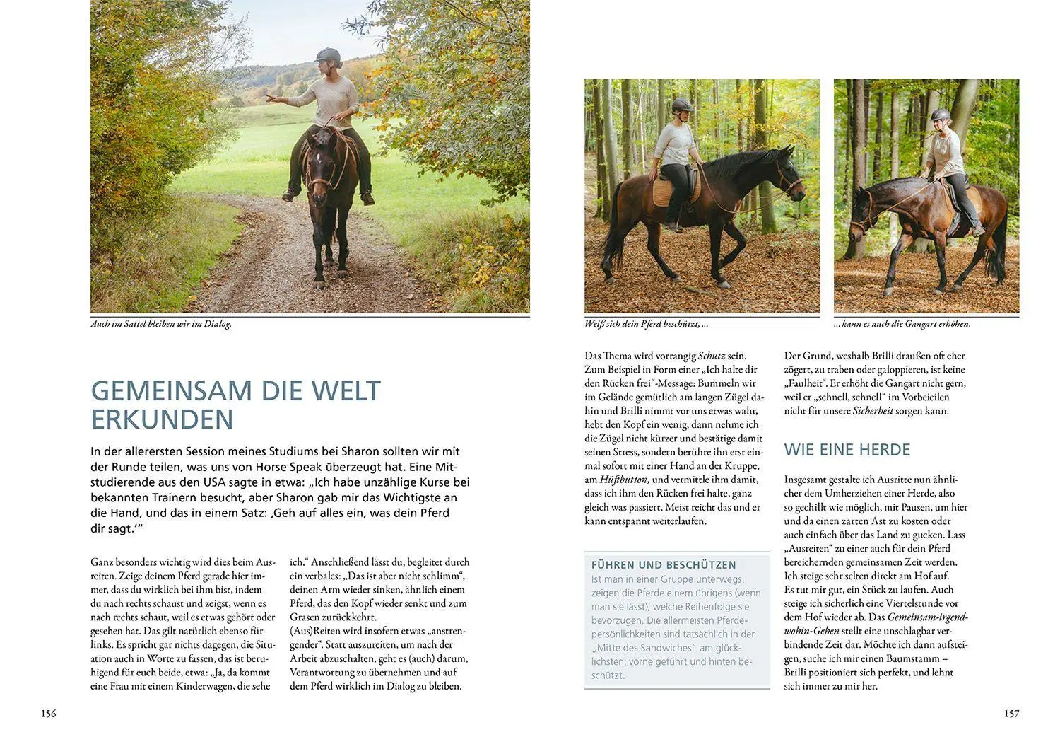 Bild: 9783440177495 | Horse Speak - Die Basis für feines Reiten | Kirsti Ludwig (u. a.)