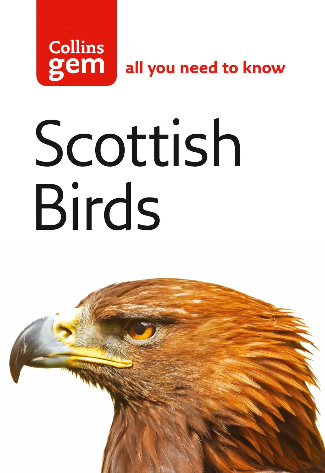 Cover: 9780007207695 | Scottish Birds | Valerie Thom | Taschenbuch | Kartoniert / Broschiert