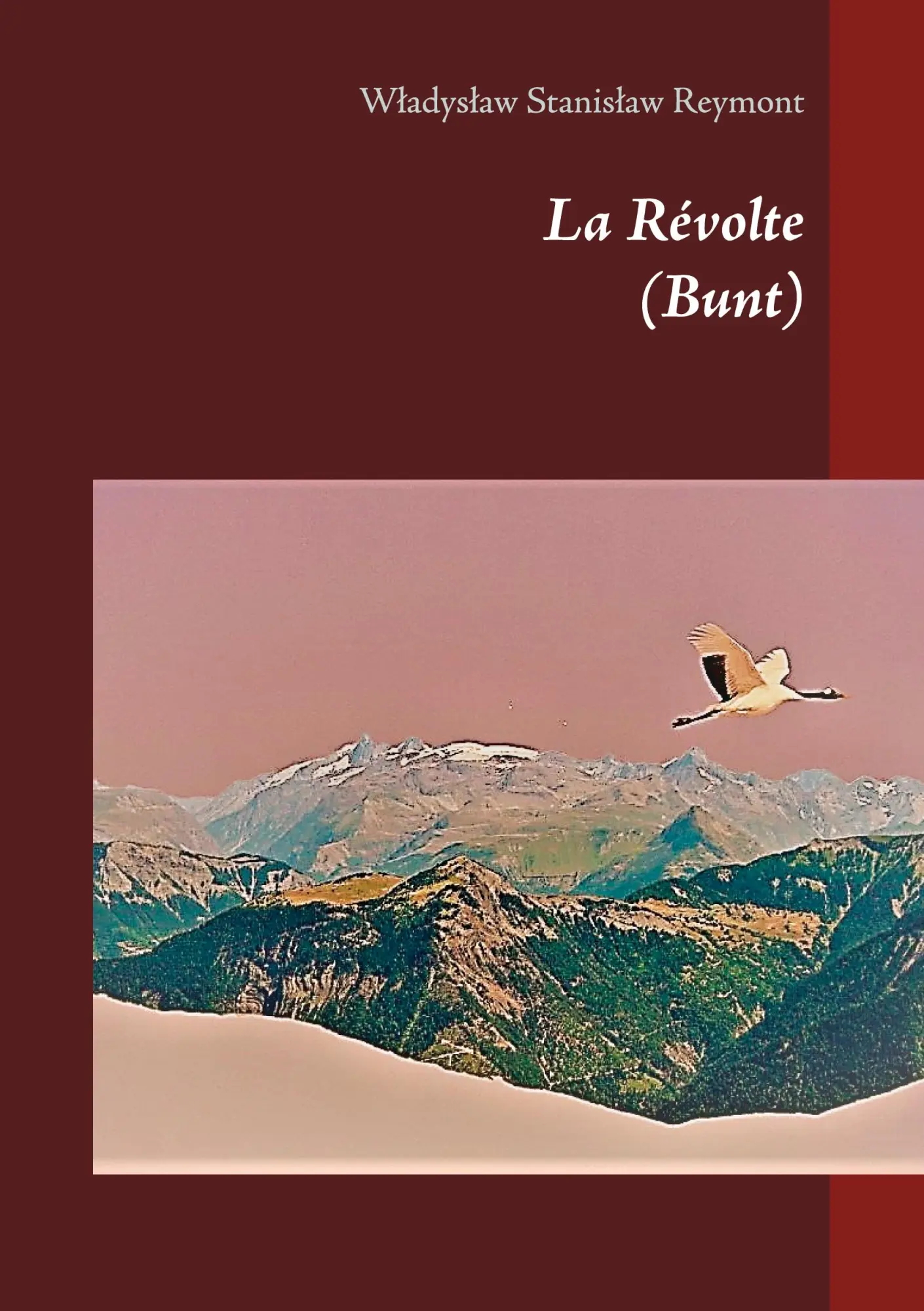 Cover: 9782322377695 | La Révolte | (Bunt) | Wladyslaw Stanislaw Reymont | Taschenbuch | 2021