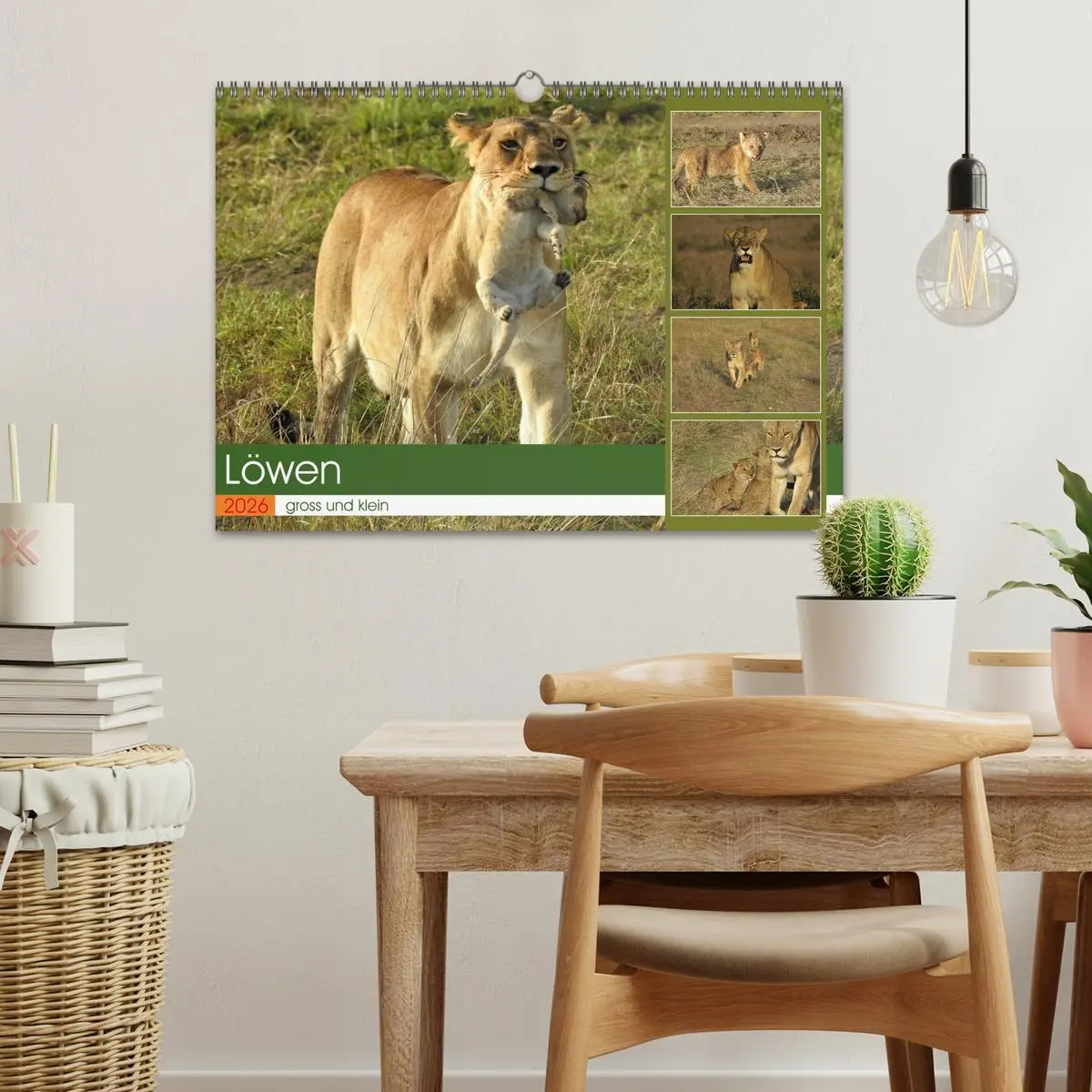 Bild: 9783457537695 | Löwen - gross und klein (Wandkalender 2026 DIN A3 quer), CALVENDO...