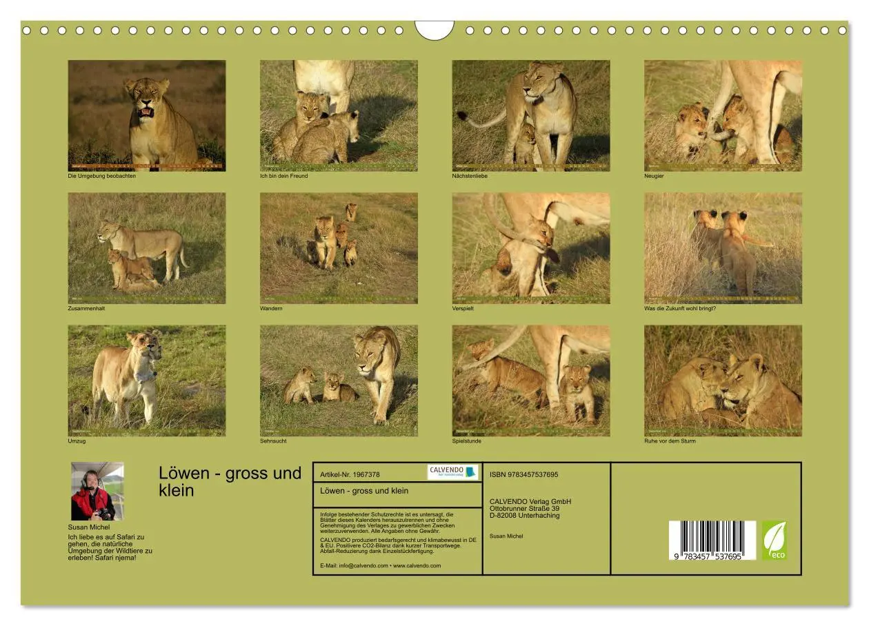 Bild: 9783457537695 | Löwen - gross und klein (Wandkalender 2026 DIN A3 quer), CALVENDO...