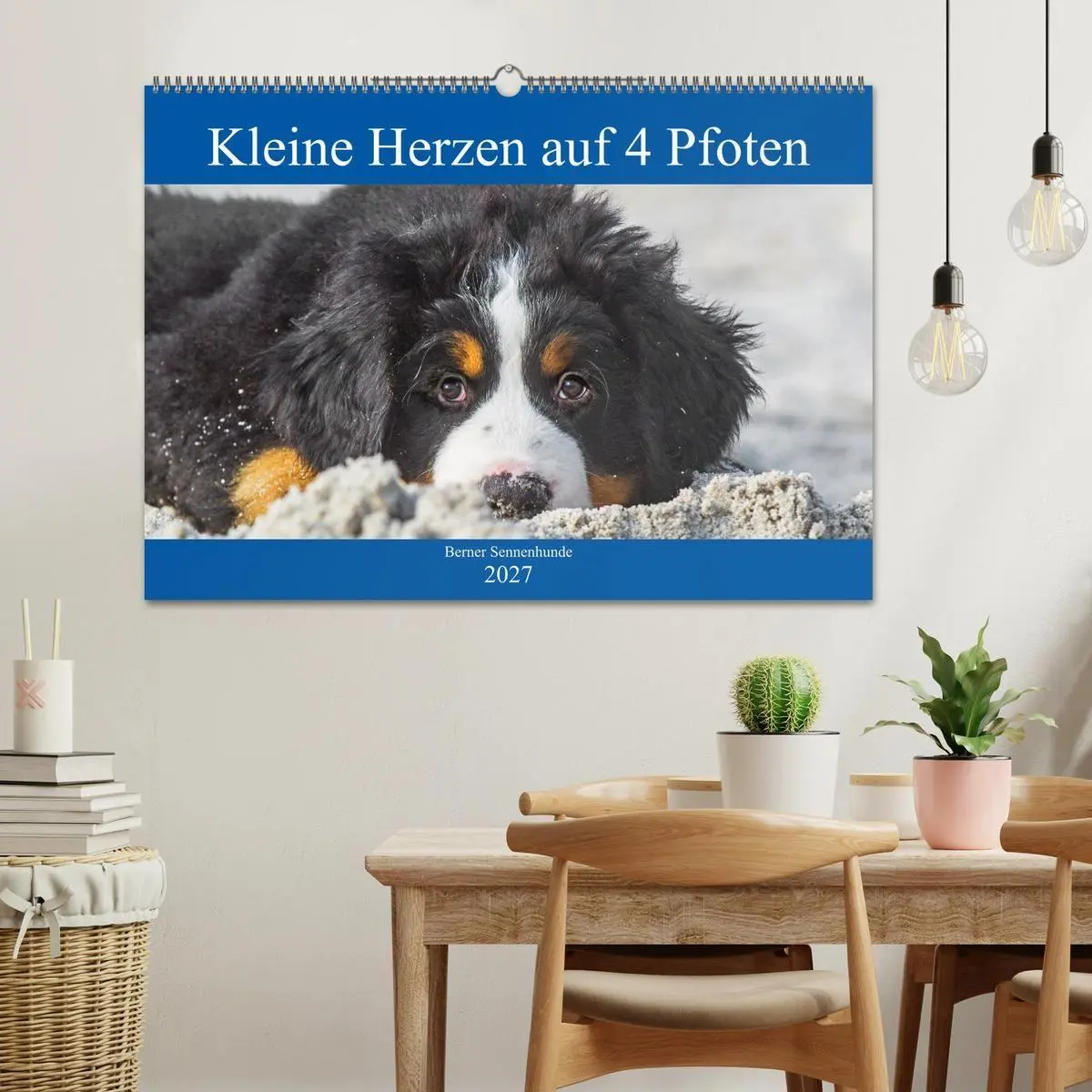 Bild: 9783569647695 | Kleine Herzen auf 4 Pfoten - Berner Sennenhunde (Wandkalender 2027...