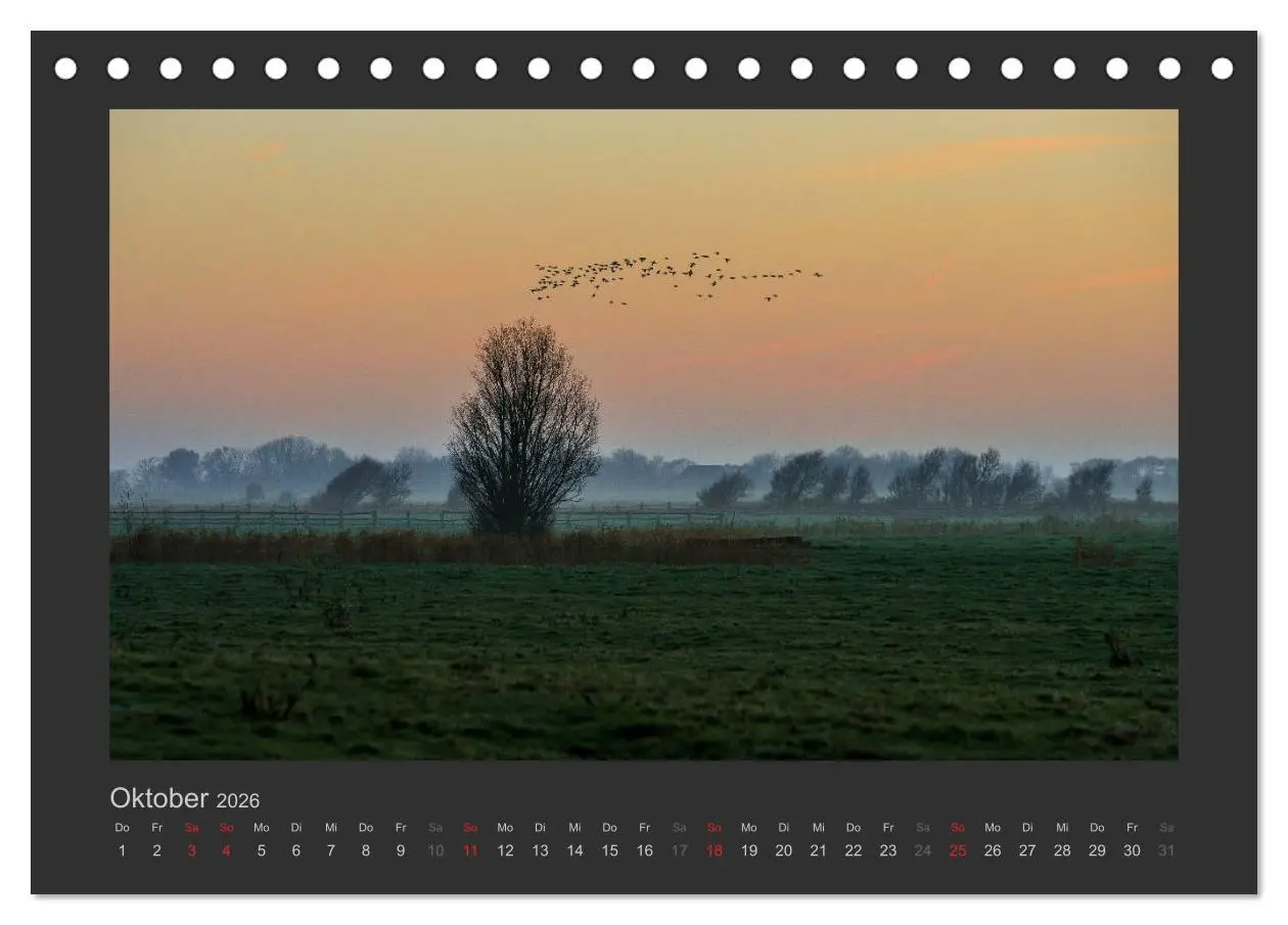 Bild: 9783516097795 | Impressionen aus St. Peter-Ording (Tischkalender 2026 DIN A5 quer),...