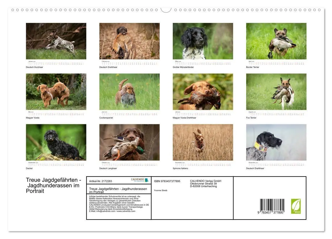 Bild: 9783457377895 | Treue Jagdgefährten - Jagdhunderassen im Portrait (hochwertiger...