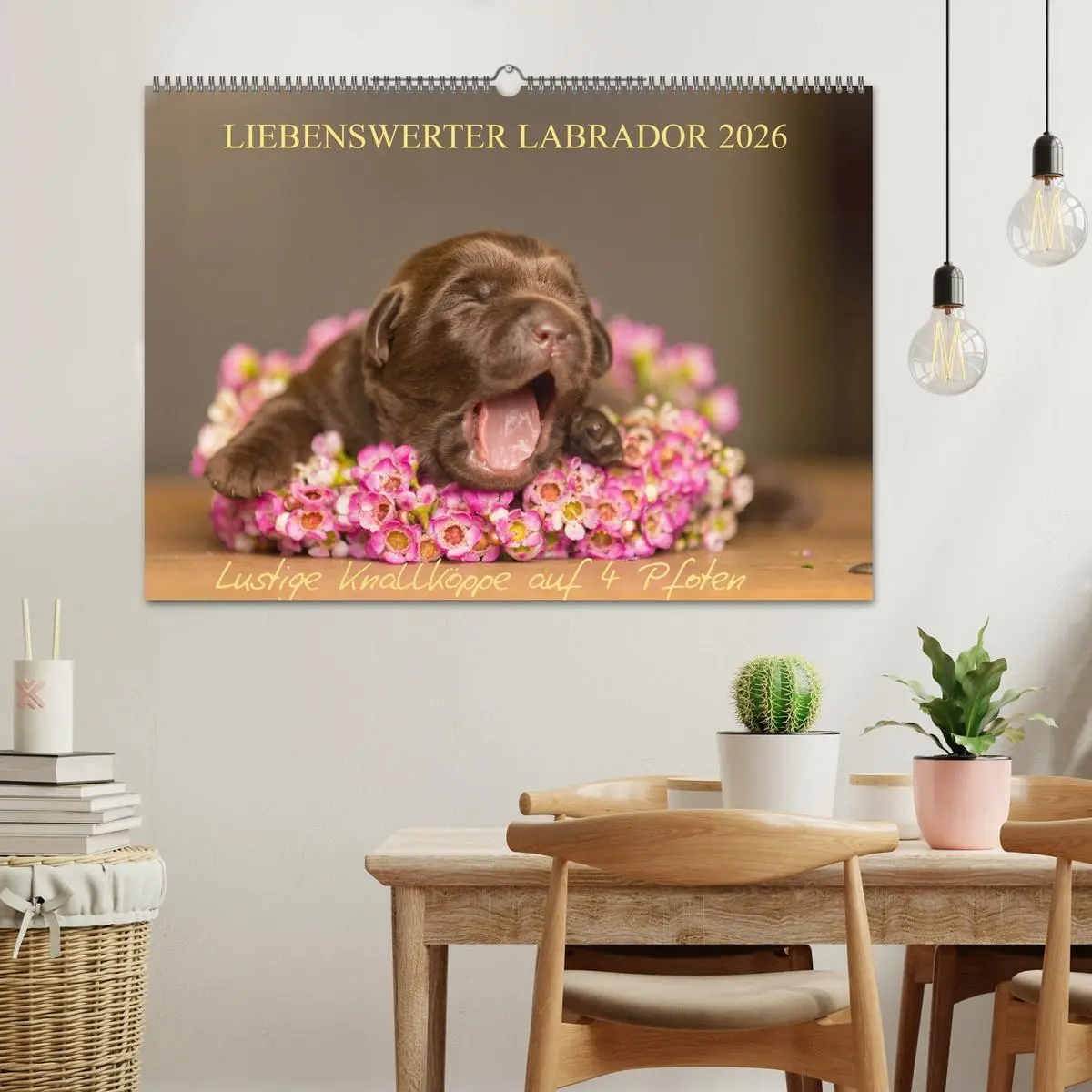Bild: 9783457997895 | Liebenswerter Labrador 2026 (Wandkalender 2026 DIN A2 quer),...