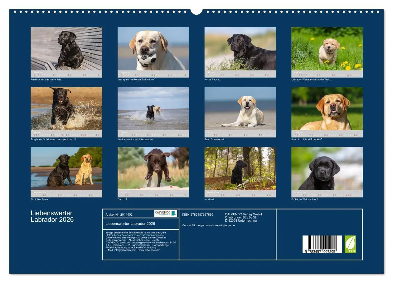 Bild: 9783457997895 | Liebenswerter Labrador 2026 (Wandkalender 2026 DIN A2 quer),...