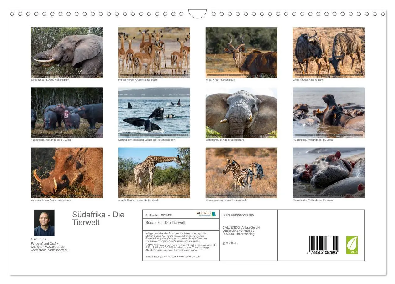 Bild: 9783516087895 | Südafrika - Die Tierwelt (Wandkalender 2026 DIN A3 quer), CALVENDO...