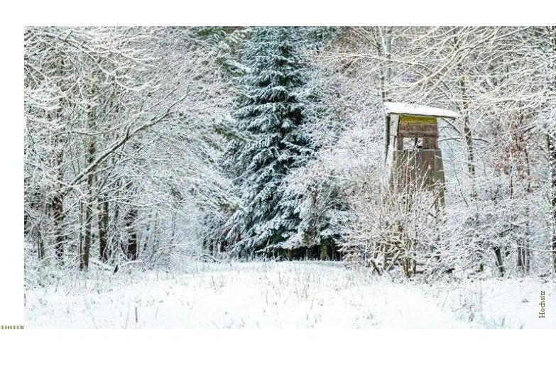 Bild: 9783747207895 | Escape Christmas - Der Adventskalender zum Auftrennen | Taschenbuch