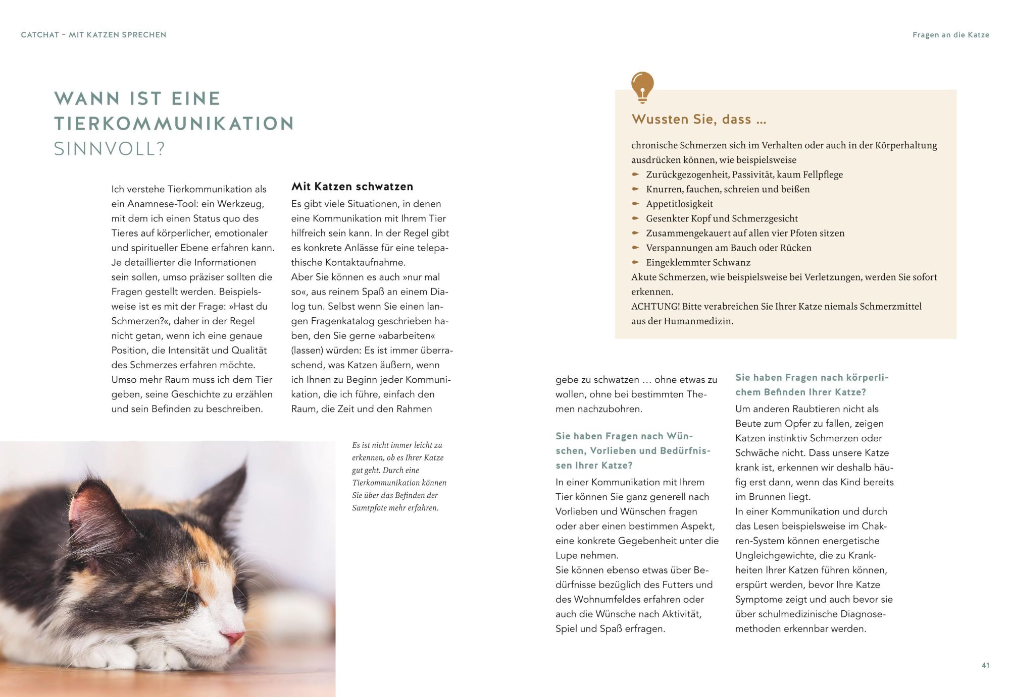 Bild: 9783833887895 | Was will mir meine Katze sagen? | Helke Brandt | Buch | 192 S. | 2023