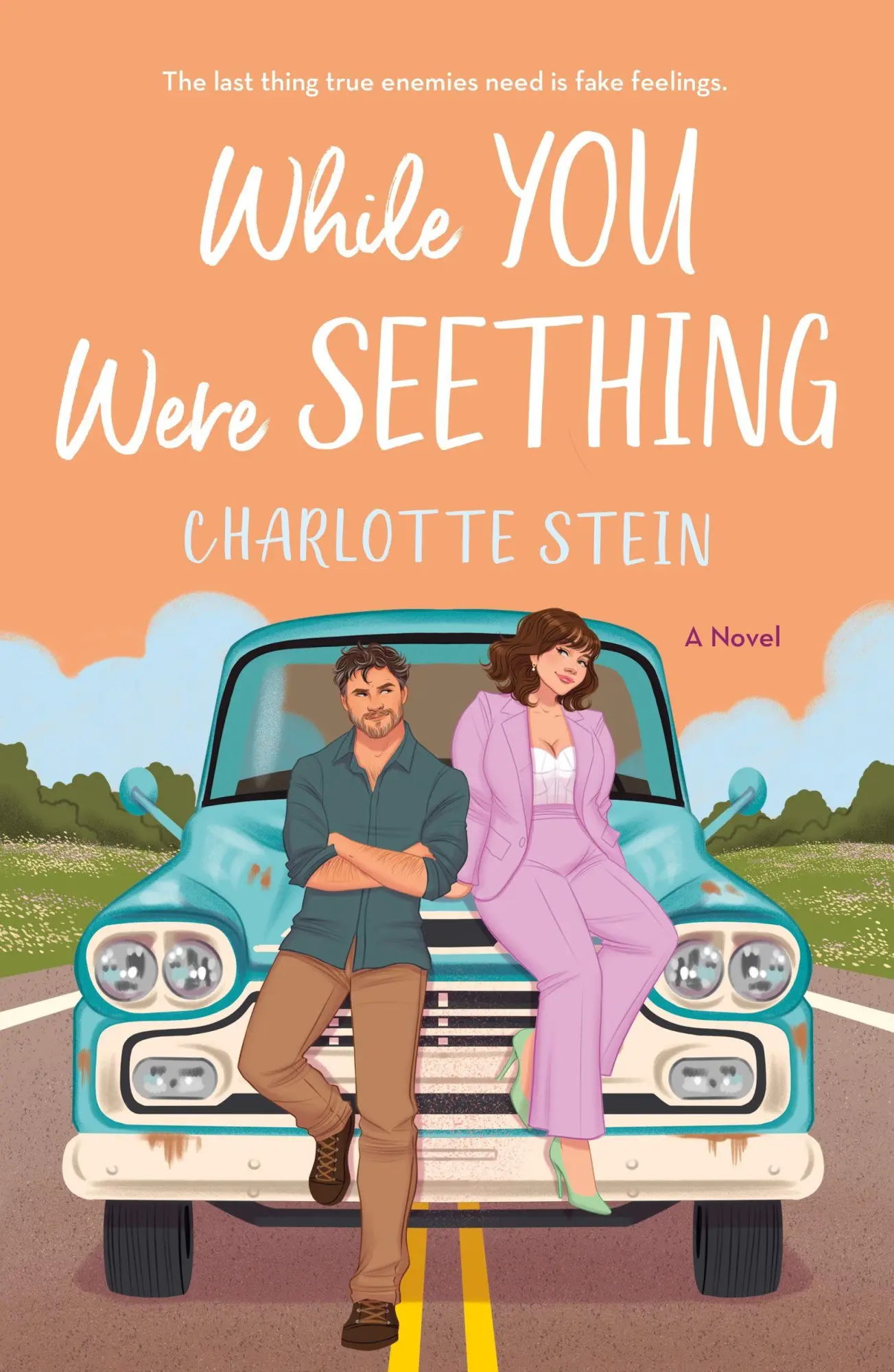 Cover: 9781250867995 | While You Were Seething | A Novel | Charlotte Stein | Taschenbuch