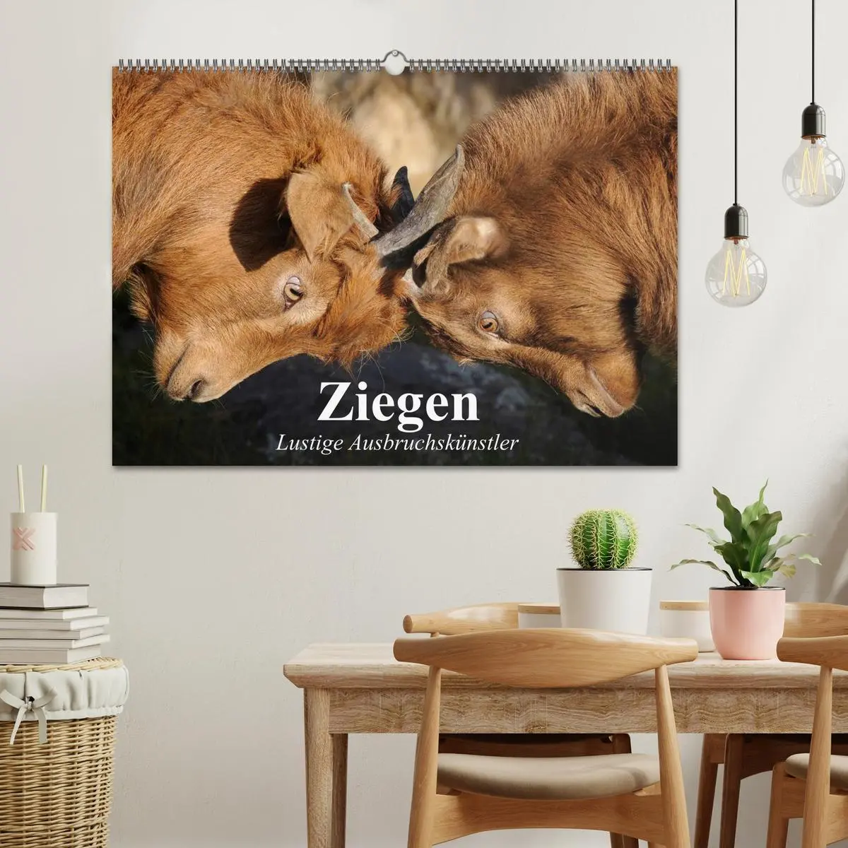 Bild: 9783457987995 | Ziegen. Lustige Ausbruchskünstler (Wandkalender 2026 DIN A2 quer),...