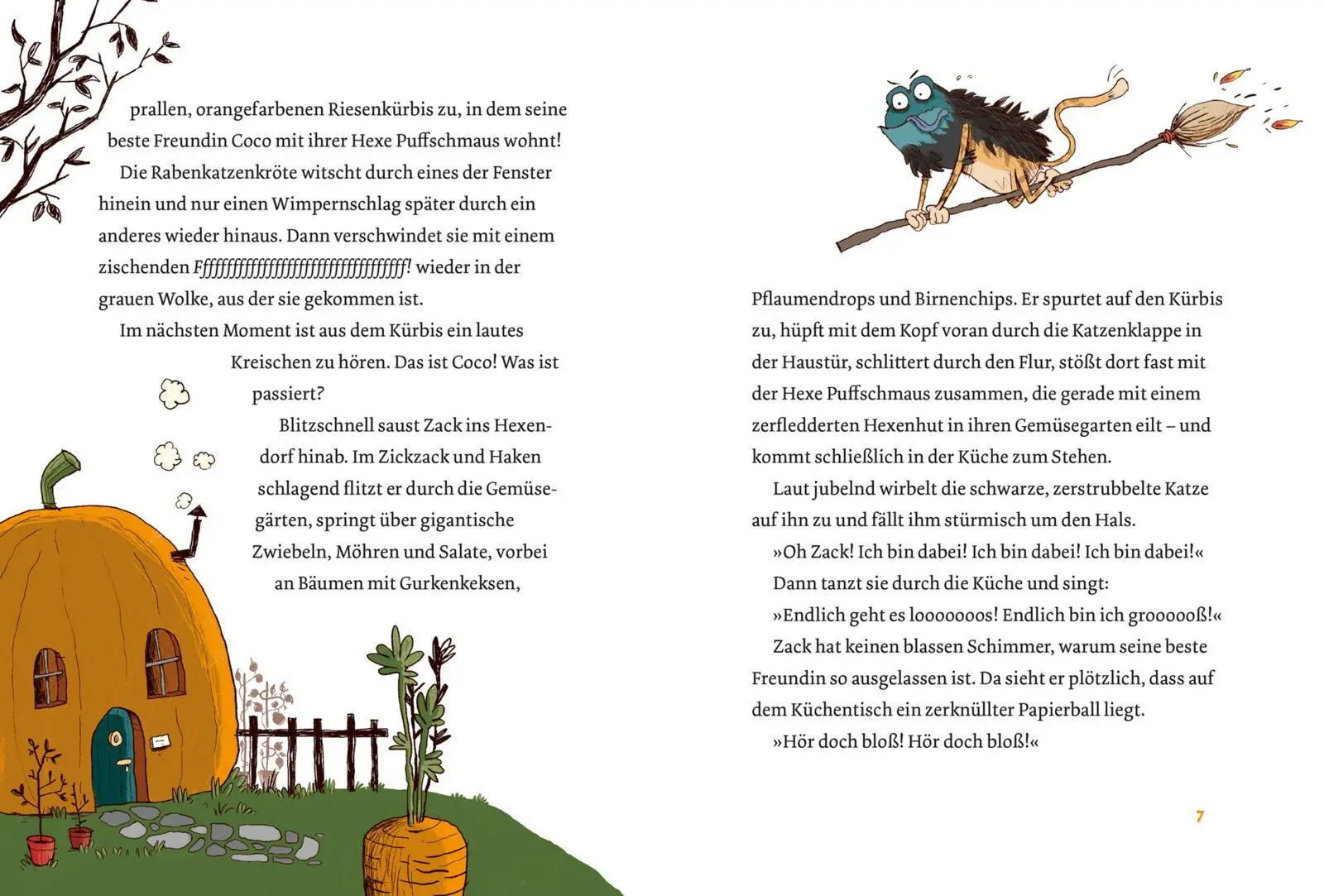 Bild: 9783551557995 | Coco und Zack: Coco und Zack - Im Internat der Hexentiere. | Anna Lott