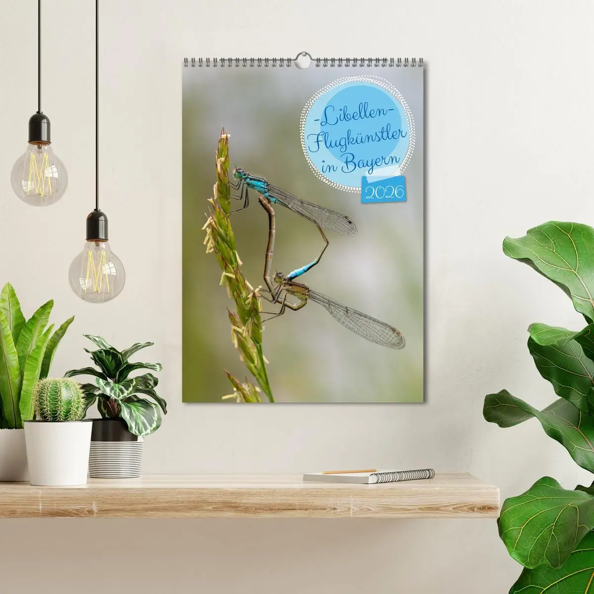 Bild: 9783457258095 | Libellen - Flugkünstler in Bayern (Wandkalender 2026 DIN A3 hoch),...
