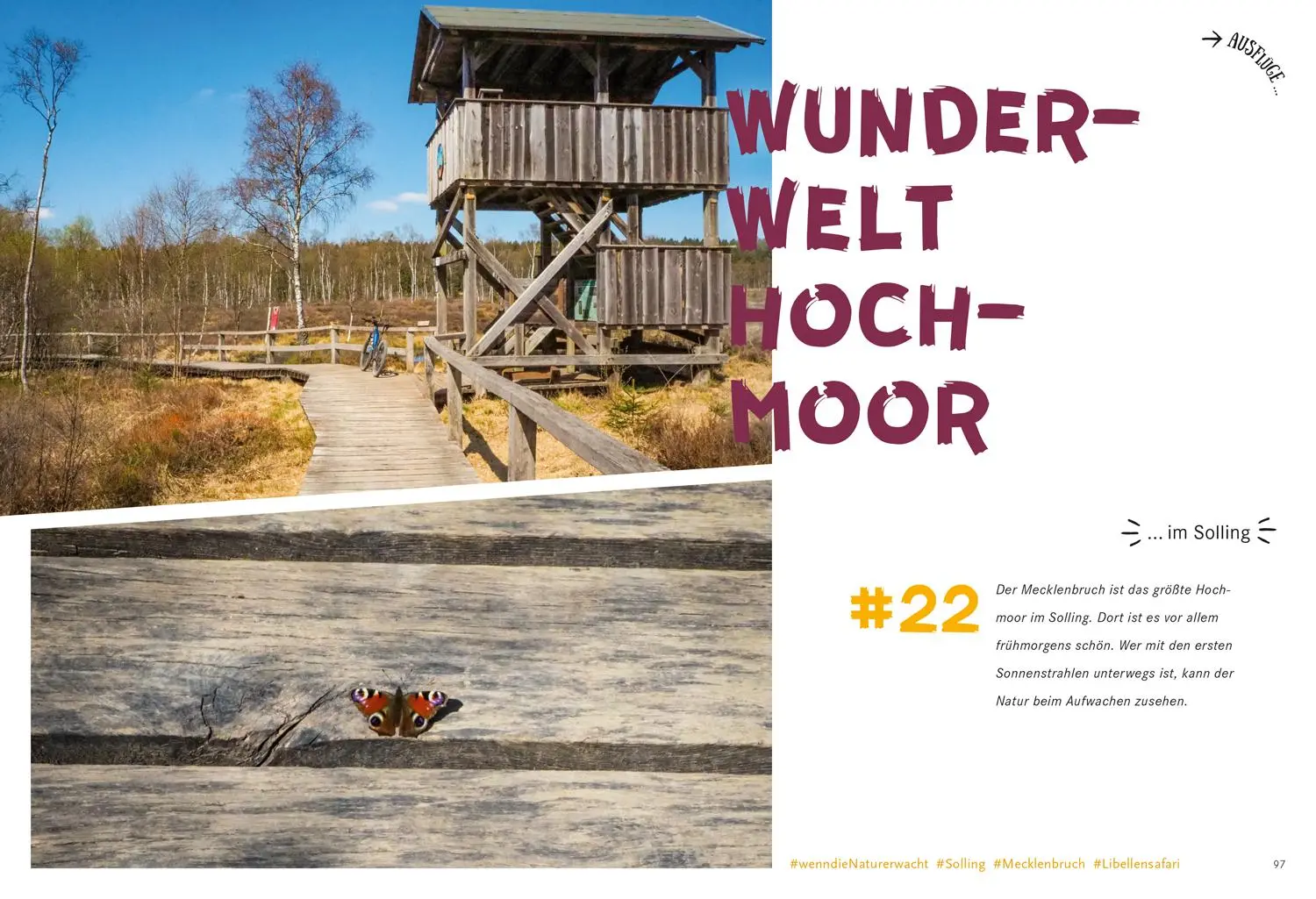 Bild: 9783616028095 | 52 kleine &amp; große Eskapaden im Weserbergland | Ab nach draußen! | Buch