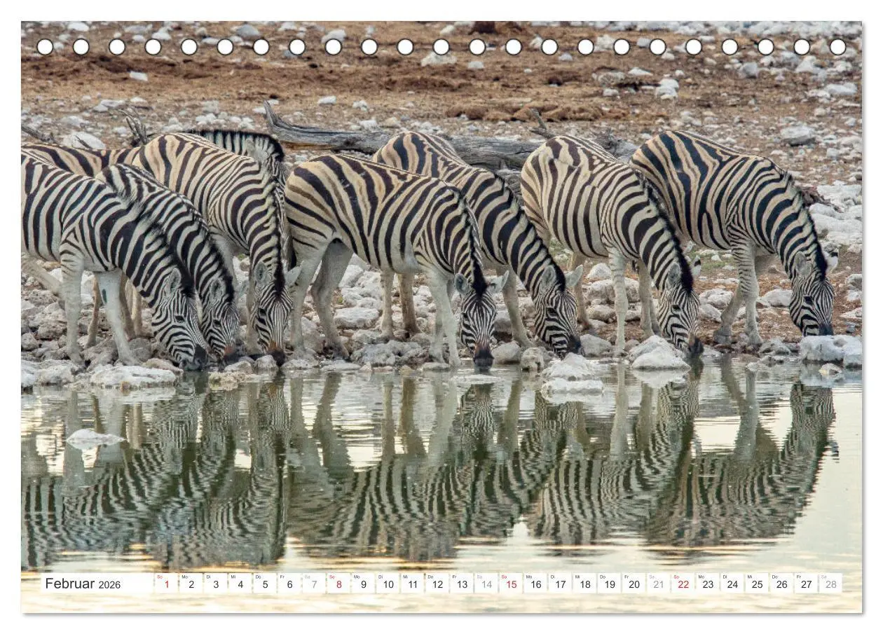 Bild: 9783457248195 | Afrika - Namibia (Tischkalender 2026 DIN A5 quer), CALVENDO...