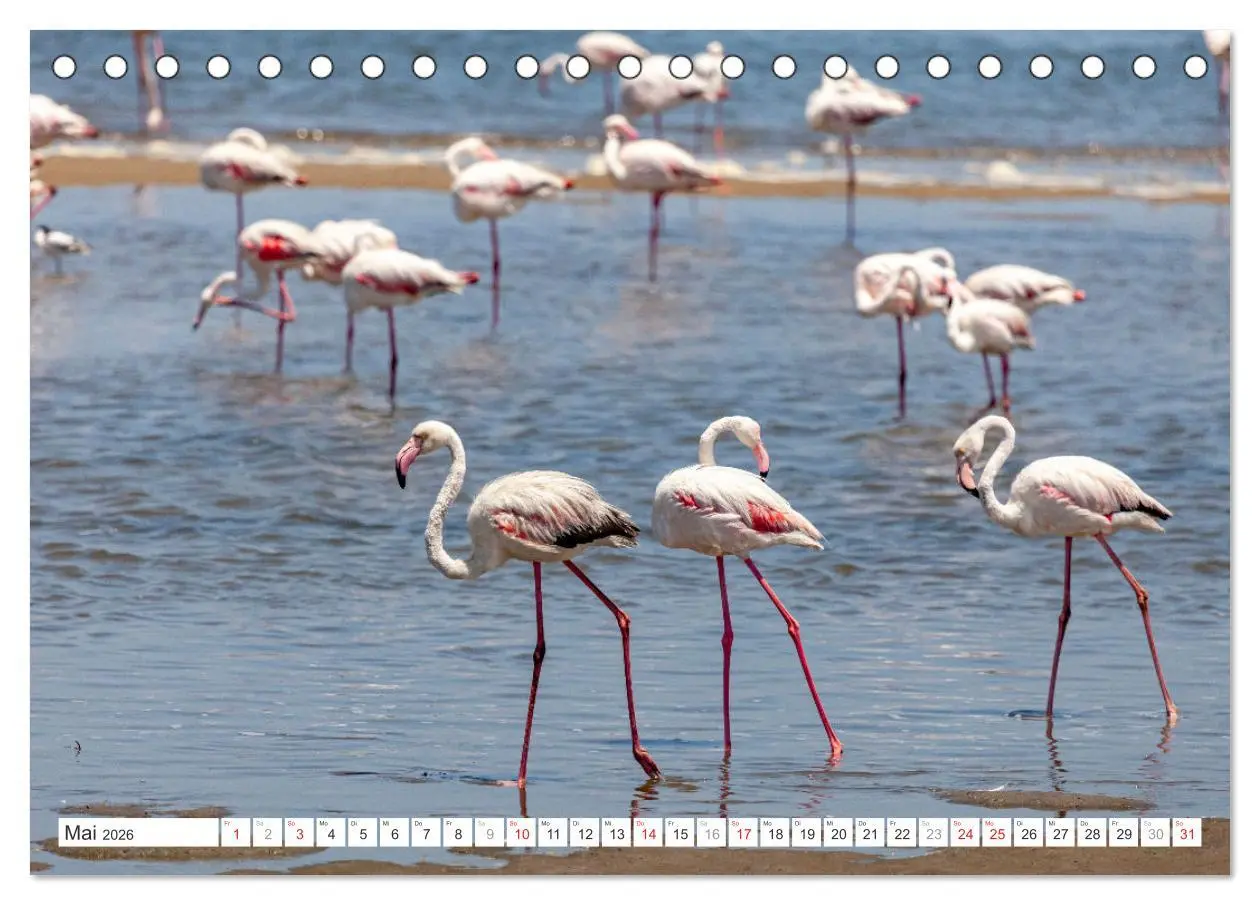 Bild: 9783457248195 | Afrika - Namibia (Tischkalender 2026 DIN A5 quer), CALVENDO...