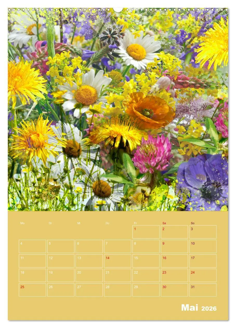 Bild: 9783516338195 | Kunterbunt gemischt - Kunterbunt gemischt - Farbenfroher...