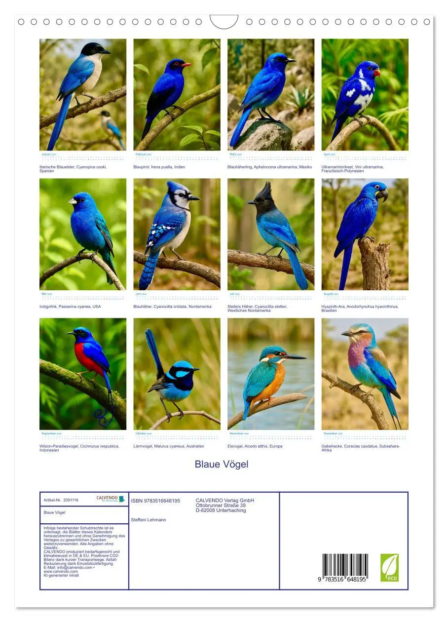 Bild: 9783516648195 | Blaue Vögel (Wandkalender 2026 DIN A3 hoch), CALVENDO Monatskalender