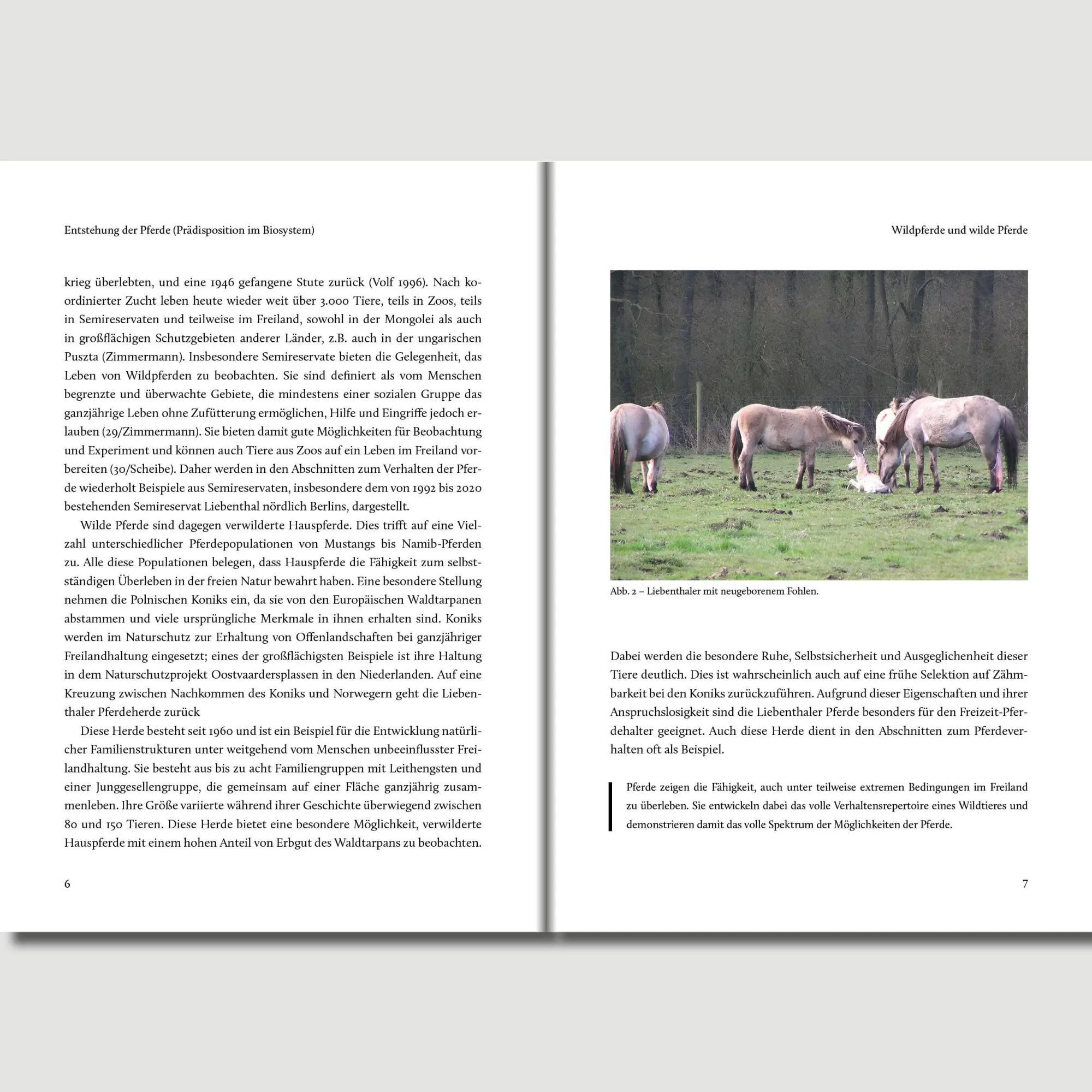 Bild: 9783758208195 | Unser Pferd | Peter S. Glatzel | Buch | 452 S. | Deutsch | 2025