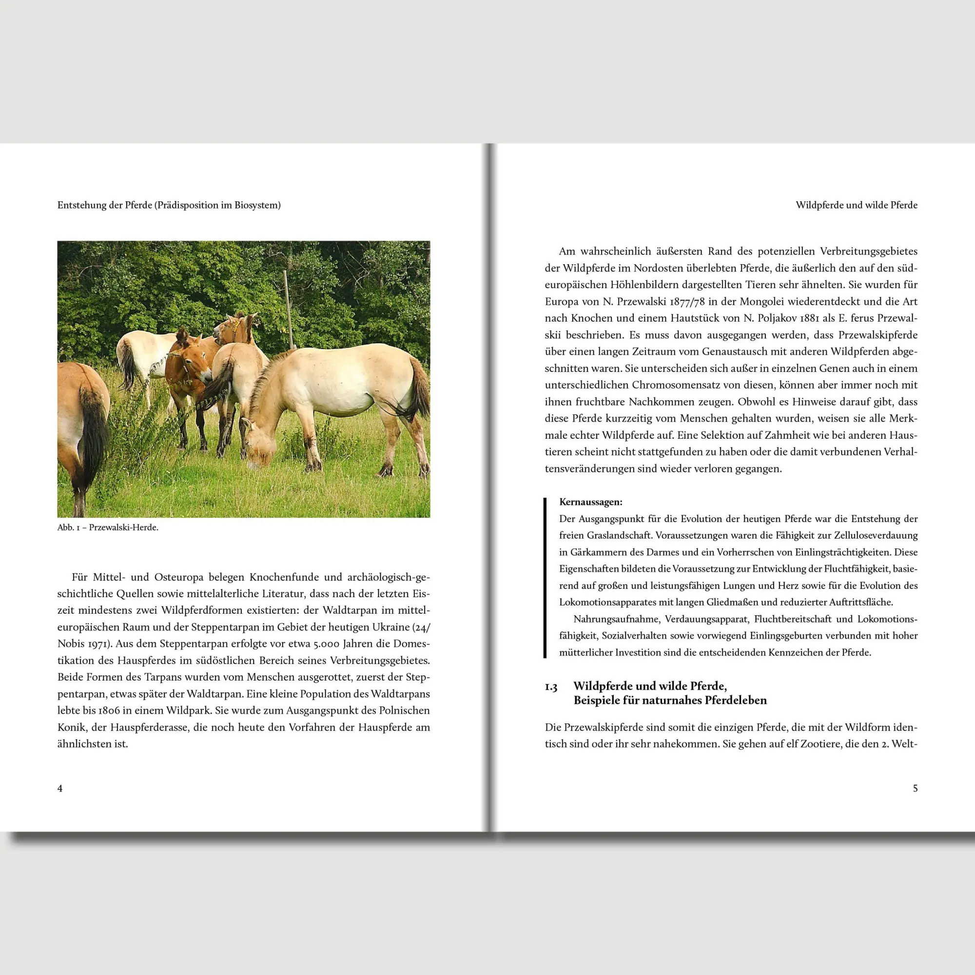Bild: 9783758208195 | Unser Pferd | Peter S. Glatzel | Buch | 452 S. | Deutsch | 2025
